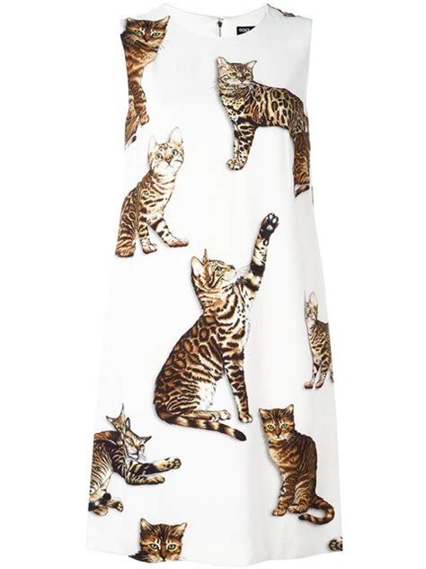 dolce and gabbana cat dress|dolce and gabbana online shop.